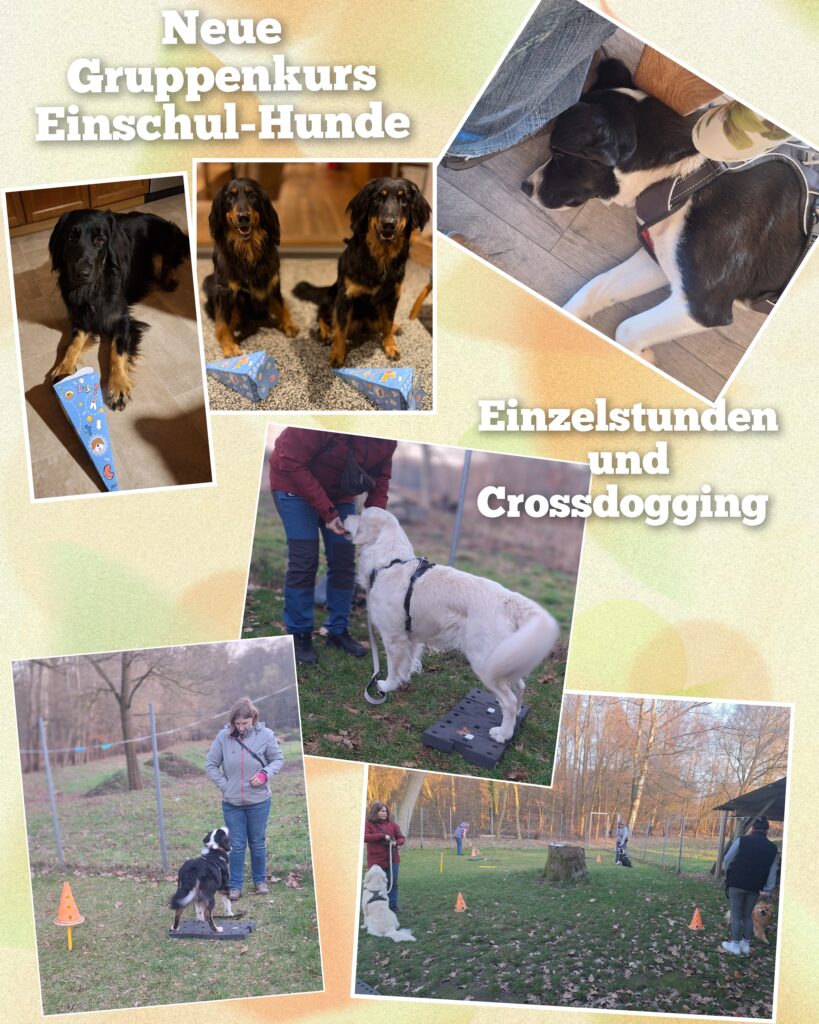 Laufende Trainings und Einblicke